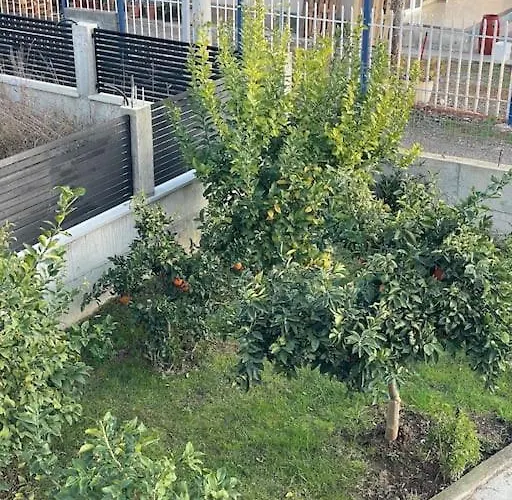 Comfortable And Luxurious Апартаменты *